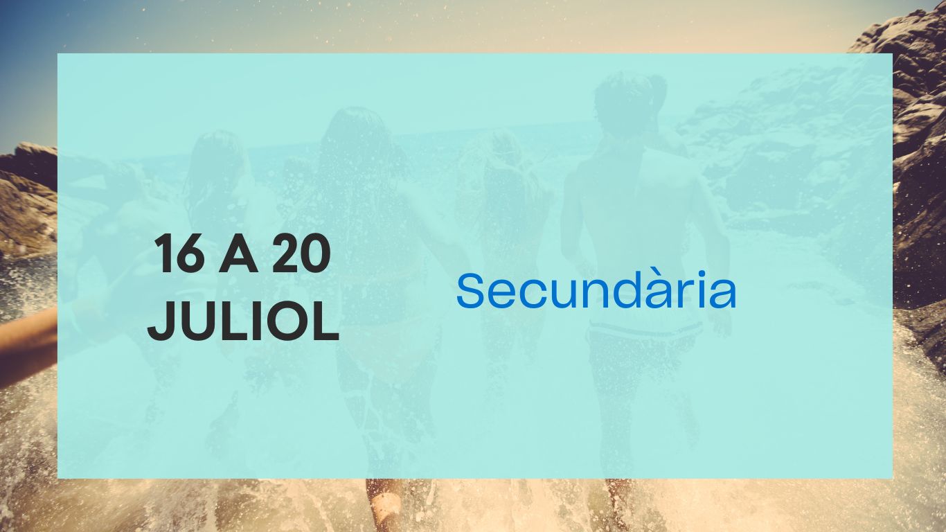 Disseny sense títol
